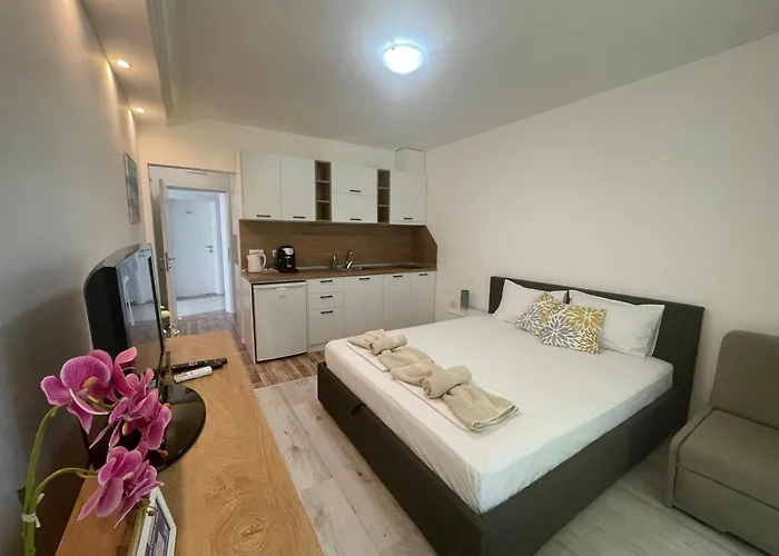 студио симона 3 - първа линия море Łozenec